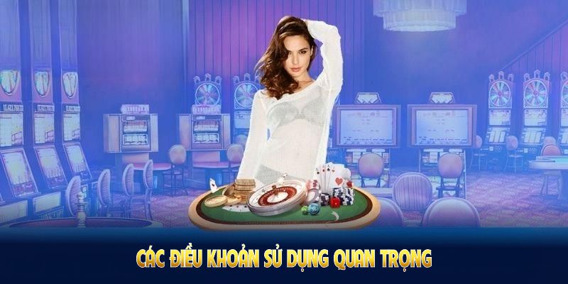 Các điều khoản sử dụng quan trọng năm 2025 giúp nâng cao trải nghiệm