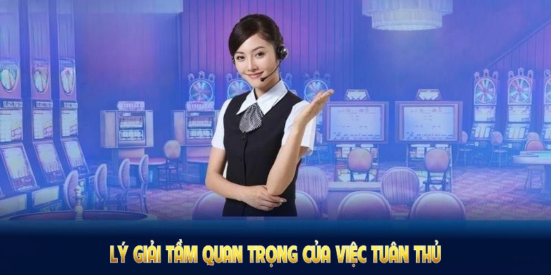 Lý giải tầm quan trọng của việc tuân theo các điều khoản sử dụng
